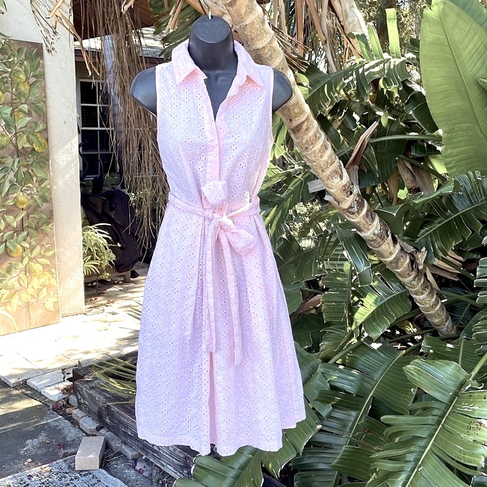 baby pink eyelet lace button-down fit, and flare dress.